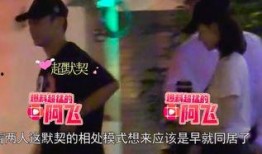 郑恺爆料宝强视频大全集,揭秘娱乐圈背后的真相